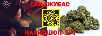 крисы Кунгур